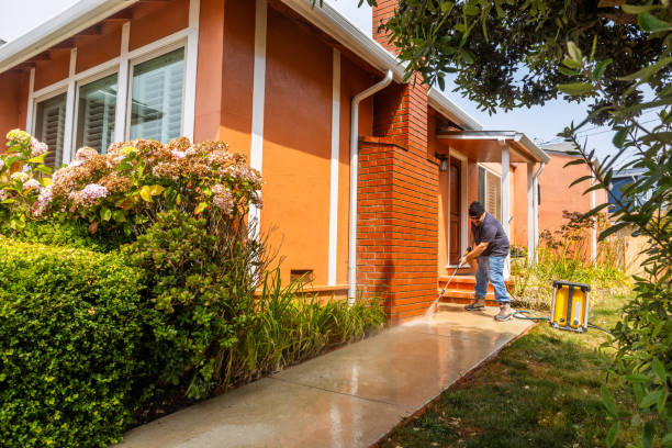 Best Affordable Pressure Washing  in Powhatan Point, OH